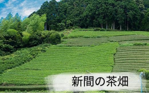 【静岡市内でも産地によって味が違う！】静岡市産煎茶3地区「新間・梅ヶ島・和田島」飲み比べセット◆