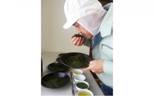 【茶娘の深むし茶】静岡市産深むし茶100g『10+1本』合計1.1kg◆無添加 小分け お茶 ブランド 静岡茶 大容量 静岡県産 カテキン 家庭用 静岡県 深蒸し茶