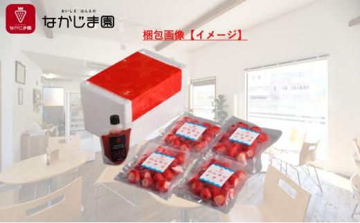 ひんやりイチゴ セット（きらぴ香 冷凍苺 250g×4袋＋苺ジャム チューブ 170g×1個）冷凍 なかじま園 自宅で かき氷 パフェ いちご 苺 国産 フルーツ くだもの◆