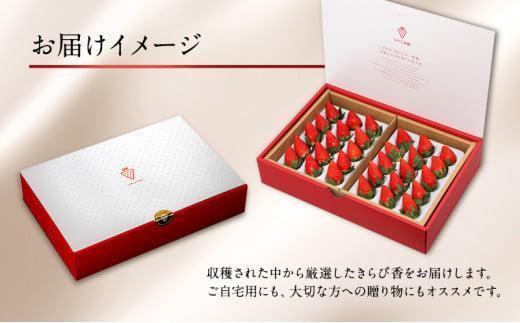 大粒きらぴ香いちご（450g×2パック）ギフトBOX入り なかじま園 大粒 果物 イチゴ 苺 ギフト 贈答品 お祝い 化粧箱 プレゼント 国産 フルーツ くだもの 冷蔵◆