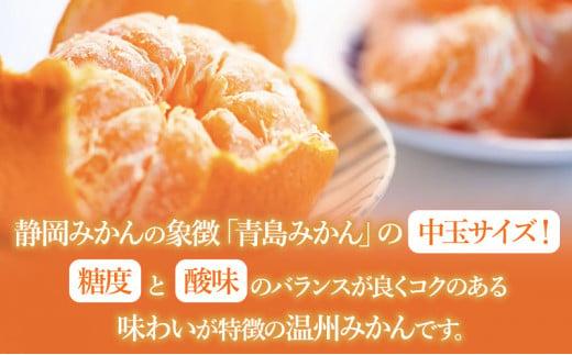 【2026年1月中旬より順次発送】青木農園 青島みかん 5kg【配送不可：離島】◇