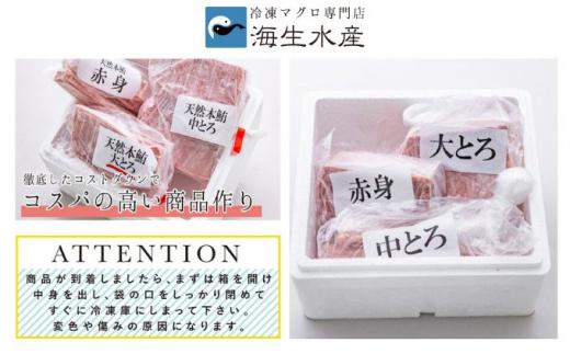 冷凍 鮪 極寒 天然 南鮪 味わいセット（大とろ・中とろ・赤身）静岡市 天然 まぐろ トロ マグロ 厳選 海生水産 海の幸