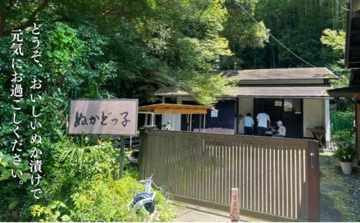 ＜ぬかどっ子＞ 熟成ぬか床 キット【ぬか床3Kg, 補充用煎りぬか300g×1袋, かくし味(昆布・きな粉・唐辛子)×1袋 ,ポリ容器入】無添加 国産原料 漬物 糠 乳酸菌 発酵■