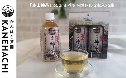 静岡久能山東照宮献上茶「本山神茶」 お茶 350ml ペットボトル 2本入×6箱 セット 静岡市葵区産 かねはち茶園 飲料 オススメお茶■