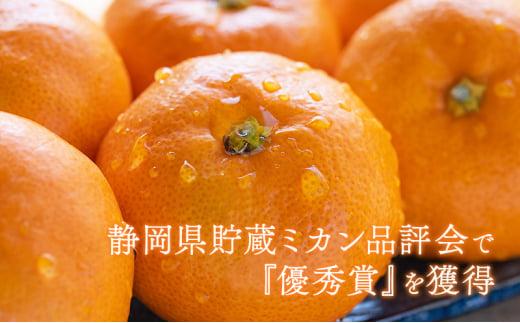 【2026年12月下旬より順次発送】至福の青島みかん 約3kg 望月自然農園 静岡県貯蔵ミカン品評会優秀賞 フルーツ 柑橘 オレンジ みかん◆