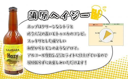 蒲原へイジー 6本セット (キーホルダー栓抜き付き) HORSEHEAD LABS クラフトビール ご当地ビール 地ビール お酒 ビール◇