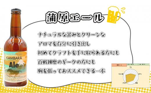 蒲原エール 3本 & 蒲原へイジー3本 計6本セット (キーホルダー栓抜き付き) HORSEHEAD LABS クラフトビール ご当地ビール 地ビール お酒 ビール◇