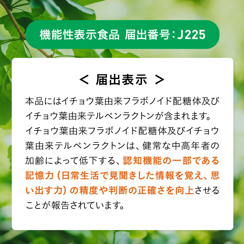 イチョウ葉 サプリメント 認知ヘルプ 認知機能 記憶力向上 ホスファチジルセリン PQQ プラズマローゲン バコパサポニン DHA EPA コエンザイムQ10 6袋（6ヶ月分）