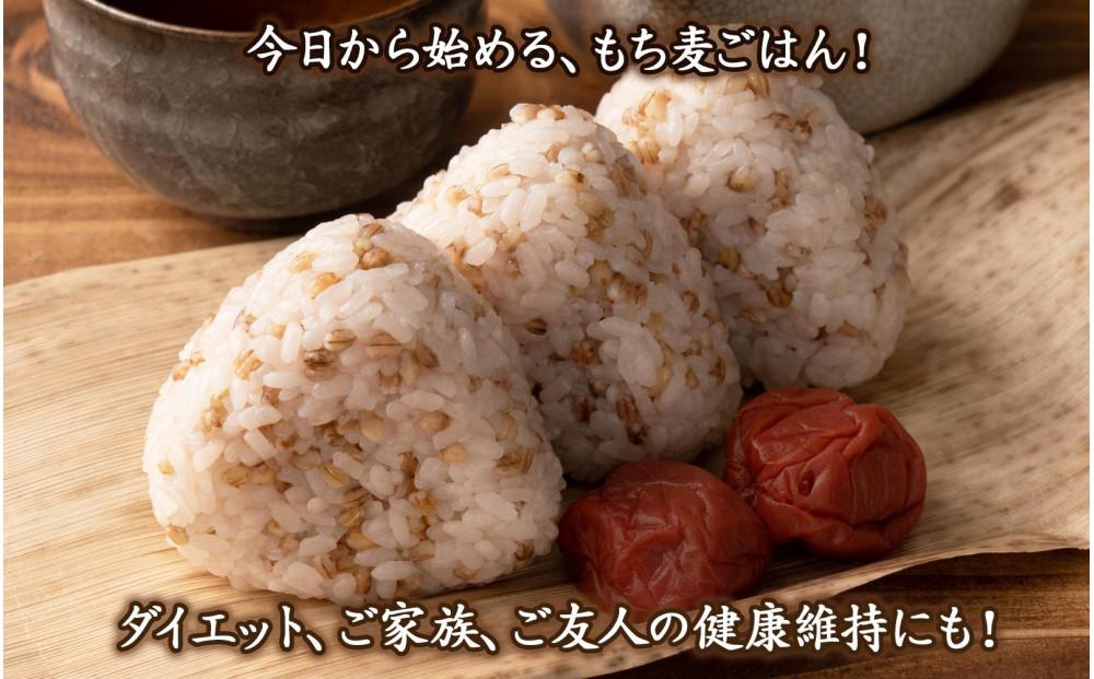 【3ヶ月定期便】もち麦 (400g×2袋)【合計2400g 全6袋】