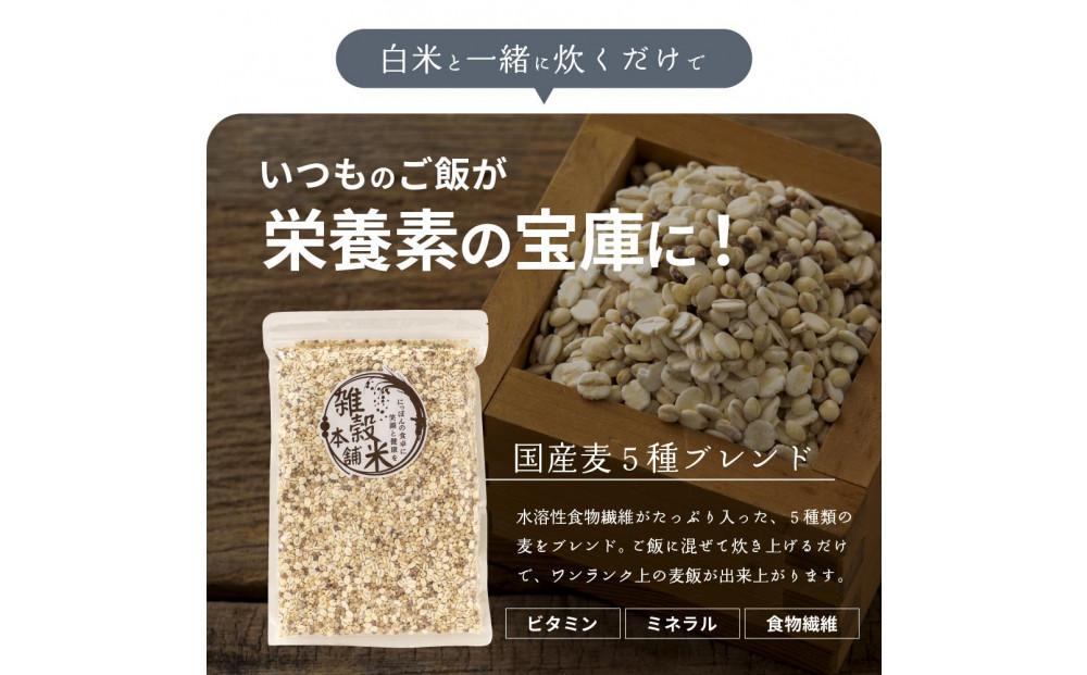 国産麦5種ブレンド 24kg(400g×60袋)