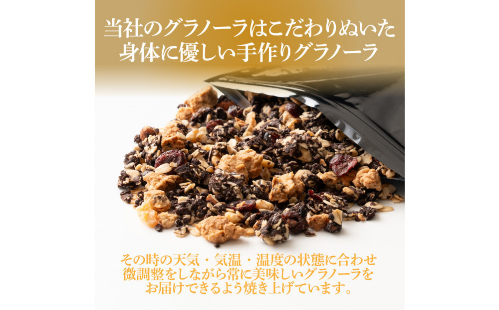 贅沢リッチグラノーラ 600g(300g×2袋)