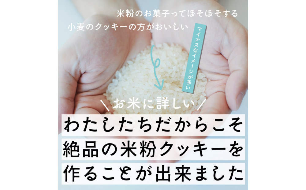 贅沢米粉のクッキー プレーン 600g(100g×6袋)