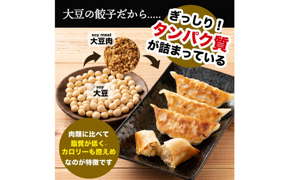 大豆パワー ソイプロギョーザ 90個(30個入×3袋)