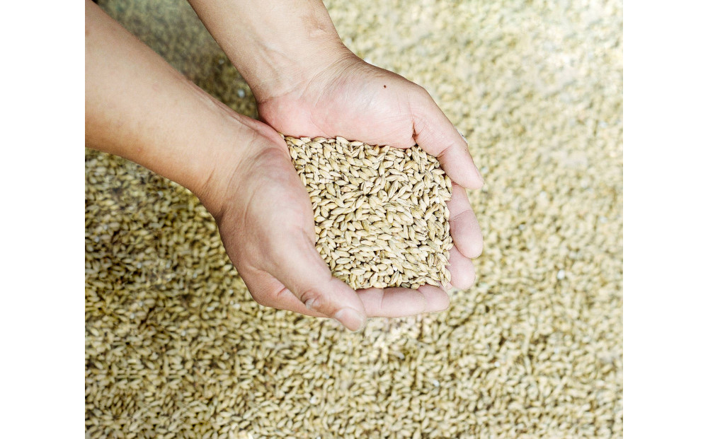 井川蒸溜所　SINGLE MALT Dessin Series Fauna 2025◆