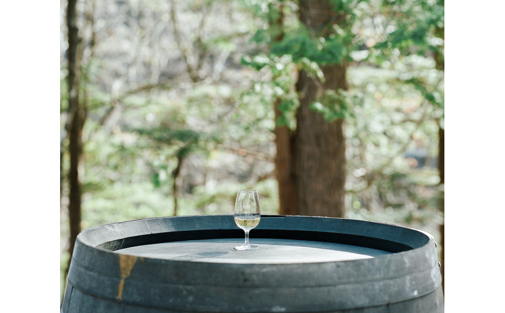 井川蒸溜所　SINGLE MALT Dessin Series Flora 2025◆