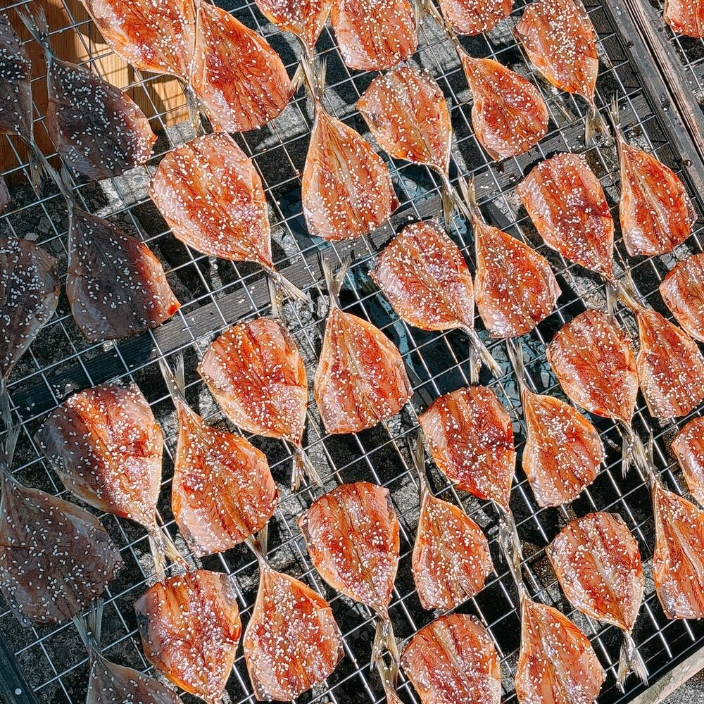 ヤマボシ水産　自家製干物セット 倉沢の鯵天日干し 200ｇ×6Ｐ□