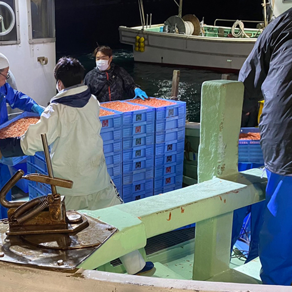 乾燥桜えび（化粧箱入）