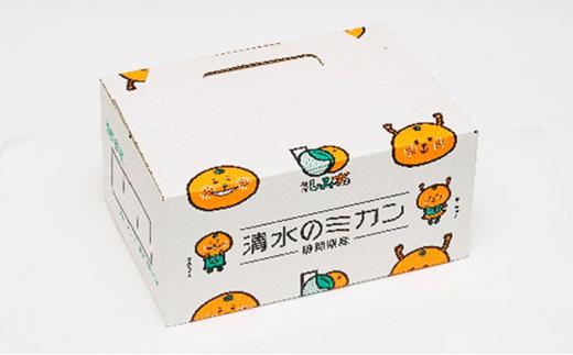 【2026年1月中旬より順次発送】甘さと酸味がマッチ　青島みかん3kg