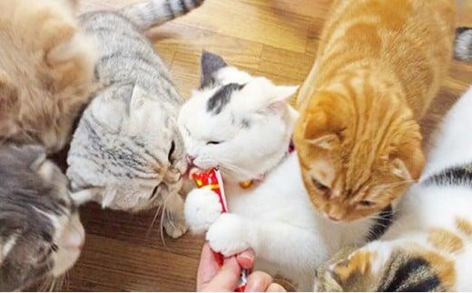 いなば ちゅ～る 人気定番セット 80本 焼きかつお 10本 セット CIAO チャオ ちゅーる キャットフード かつお カツオ 鰹 猫 ねこ おやつ ペットフード ペット用品 ペット 静岡県 静岡◆