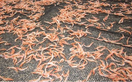 たたみいわし・素干し桜えびセット◇