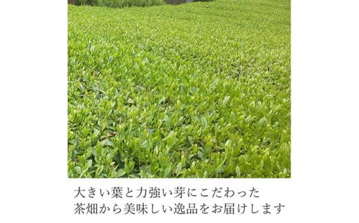 静岡 本山茶 1缶165g（特製木箱入り）◇