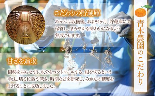 【2026年1月中旬より順次発送】青木農園 青島みかん 5kg【配送不可：離島】◇