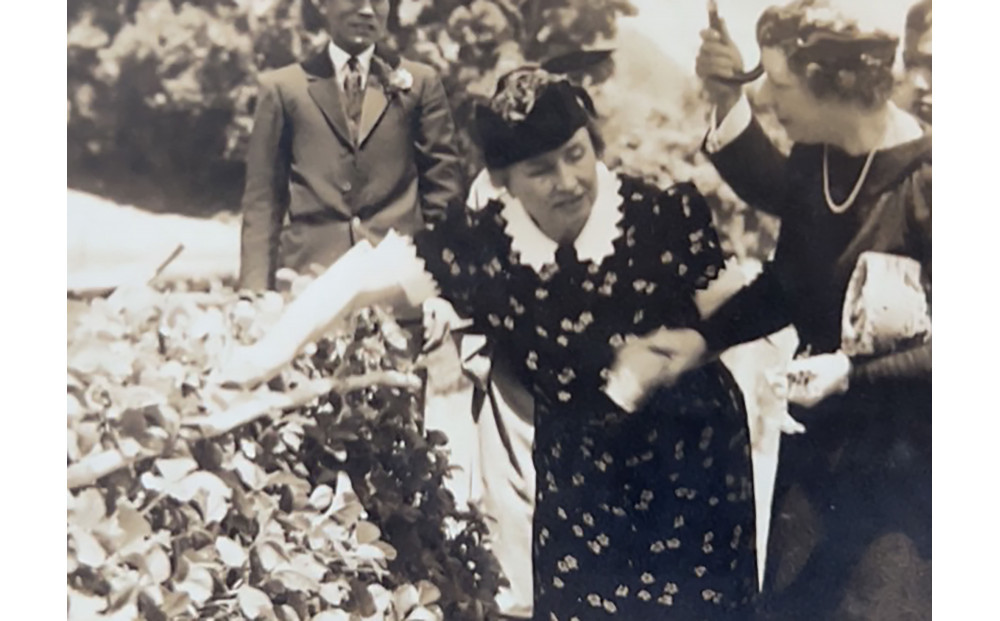 【2026年1月より順次発送】静岡特産・石垣苺　2L～4Lミックス 約280g×2パック★紅ほっぺ