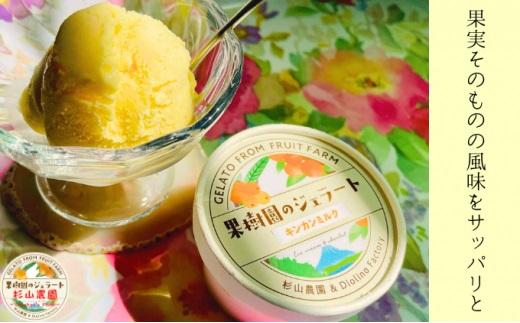 果樹園のジェラート 柑橘食べ比べ12個セット 100ml×12個 冷凍 ギフト アイスクリーム シャーベット□