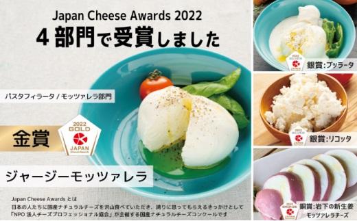 うしづまチーズ工場の、ナチュラルチーズ3種セレクト！ モッツァレラチーズ ブルーチーズ 酸凝固ソフトタイプ 静岡 牛妻■