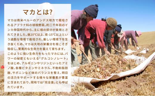 mitete はぐマカ 30日分 マカ サプリメント 有機マカ 亜鉛 セレン アルギニン 妊活◇