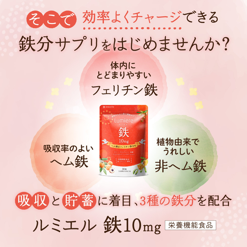 鉄分 サプリ ルミエル 鉄 10mg フェリチン鉄 ヘム鉄 葉酸 栄養機能食品 6袋（6ヶ月分）