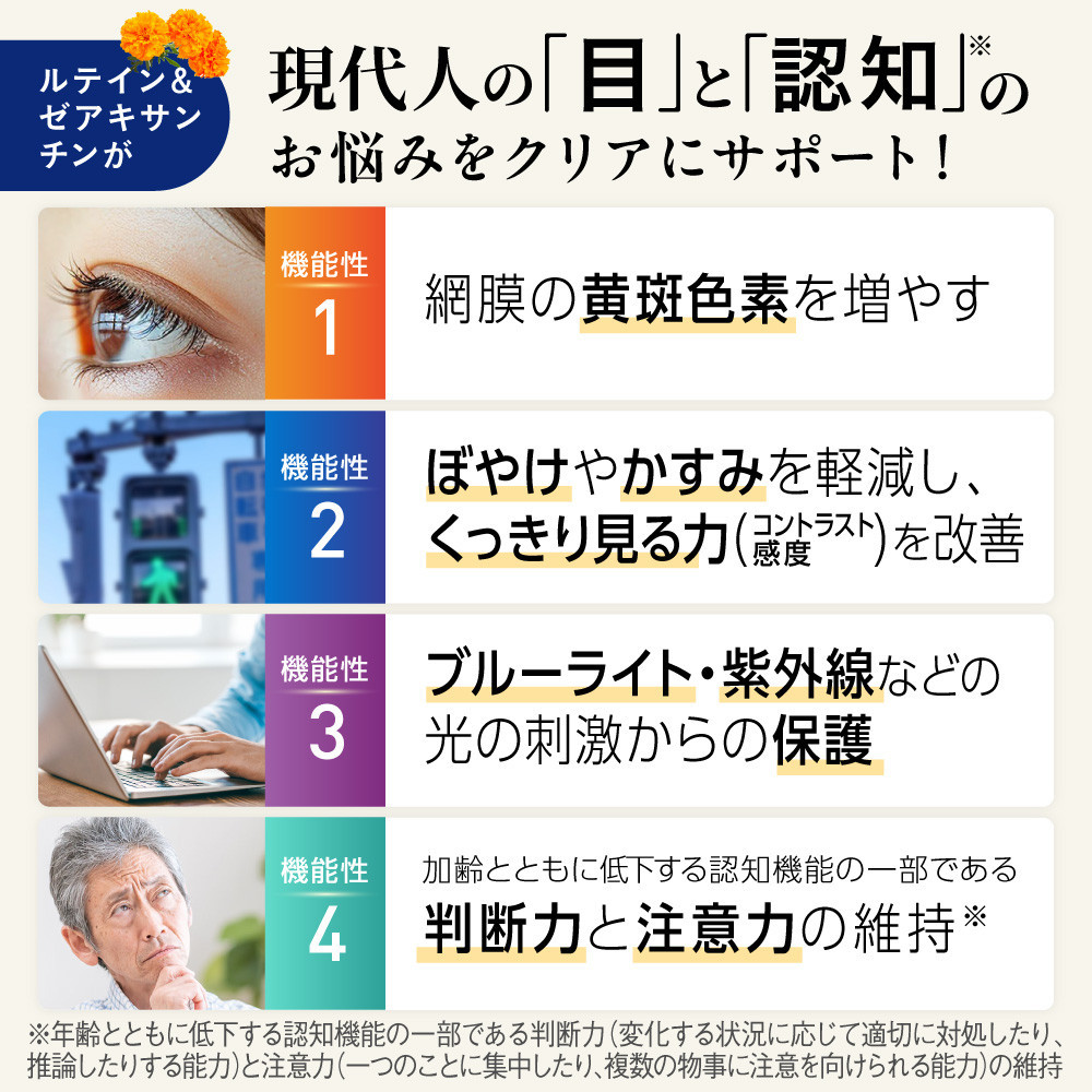明快 ルテイン サプリメント 見ると認知をケアする機能性表示食品 ブルーベリー DHA 60粒入 3袋（3ヶ月分）
