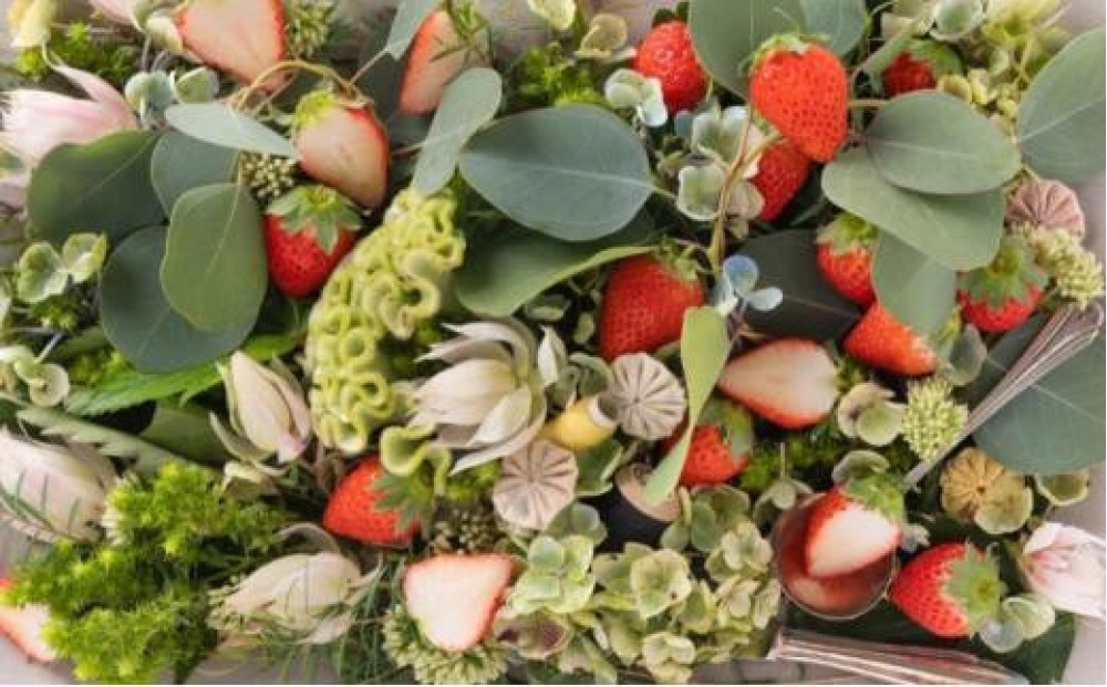 【先行予約】【ギフトBOX入り】大粒静岡いちご ギフトボックス入り（すず／おいCベリー 約500g・農園厳選） 冷蔵 苺 フルーツ◇