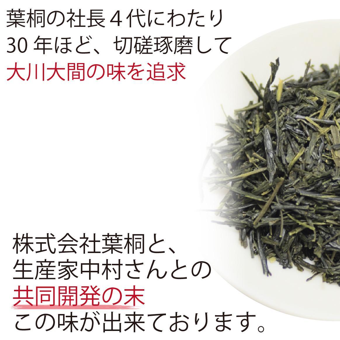 静岡市【静岡茶】 大川大間 100g2袋セット 本山茶□
