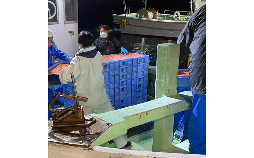 生桜えび、生しらす、桜えびかき揚げセット【配送不可：離島】