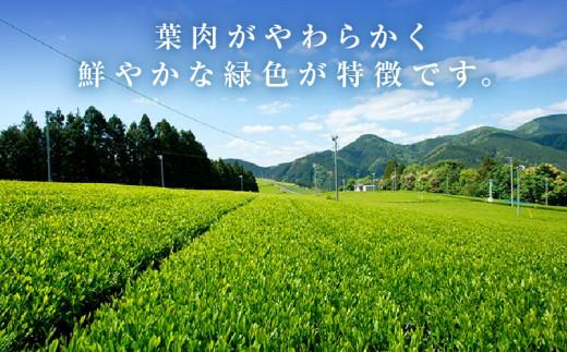 ≪７日以内発送≫【訳あり】栗原園 静岡県三大ブランド 本山茶（ほんやまちゃ）200ｇ× 2本　静岡茶 富士山型チャック付き袋★★前茶 小分け包装 訳あり 高級品 ブランド カテキン 飲料類 お茶類 緑茶 飲料 茶葉 本山茶  静岡茶 日本茶 煎茶 お取り寄せ 茶商 静岡県産 栗原園
