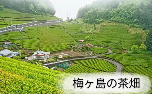 【静岡市内でも産地によって味が違う！】静岡市産煎茶3地区「新間・梅ヶ島・和田島」飲み比べセット◆