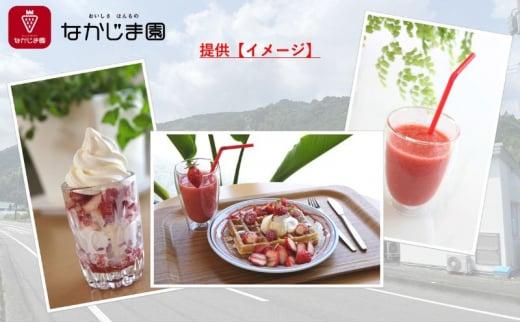 ひんやりイチゴ セット（きらぴ香 冷凍苺 250g×4袋＋苺ジャム チューブ 170g×1個）冷凍 なかじま園 自宅で かき氷 パフェ いちご 苺 国産 フルーツ くだもの◆