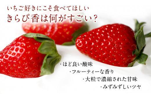 大粒きらぴ香いちご（450g×2パック）ギフトBOX入り なかじま園 大粒 果物 イチゴ 苺 ギフト 贈答品 お祝い 化粧箱 プレゼント 国産 フルーツ くだもの 冷蔵◆