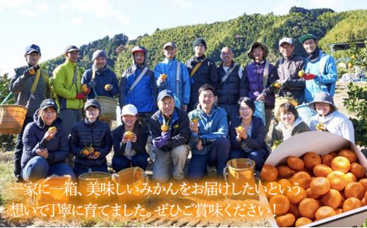 【2026年1月中旬より順次発送】青木農園 青島みかん 10kg【配送不可：離島】◇