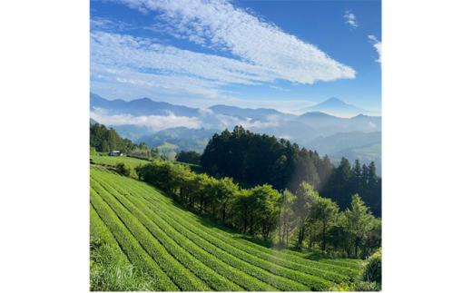 【駿府堂茶舗】和紅茶50g×5パック 清水紅茶 国産紅茶 品評会受賞茶園□