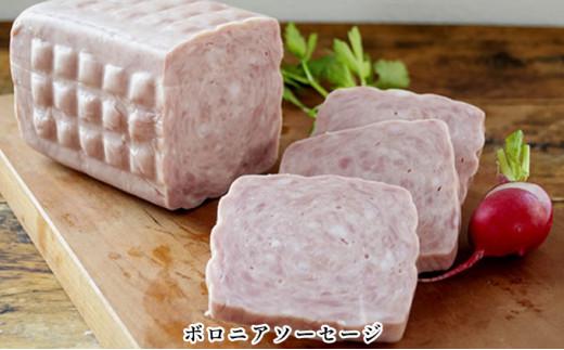 手作りハム 2本セット 合計2kg（ボロニアソーセージ・プレスハム×各1kg）【配送不可：離島】■