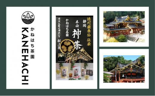 静岡久能山東照宮献上茶「本山神茶」 お茶 350ml ペットボトル 2本入×6箱 セット 静岡市葵区産 かねはち茶園 飲料 オススメお茶■