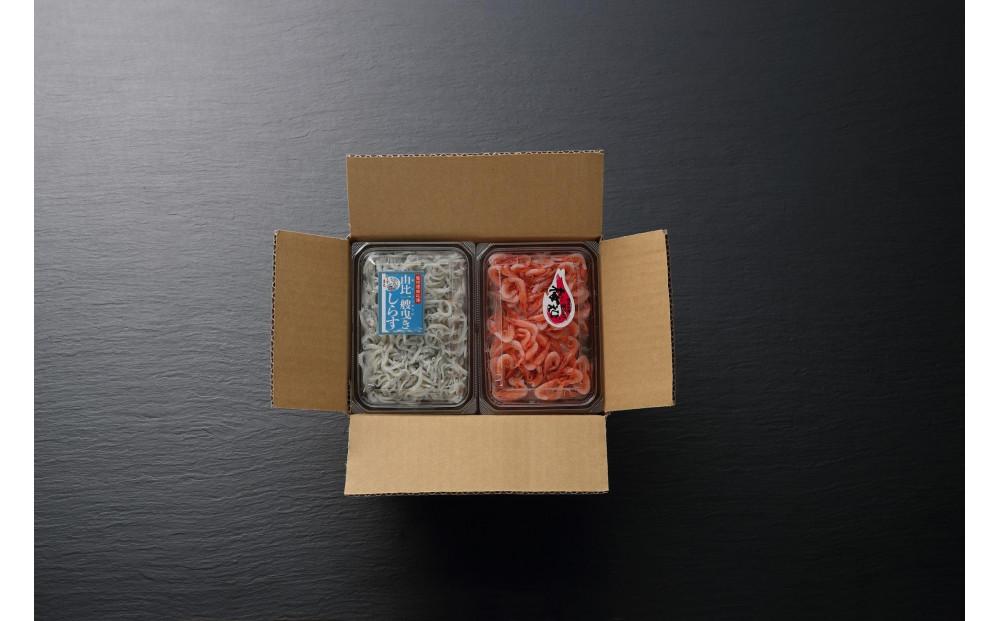 由比港　一艘曳き釜揚げしらす・釜揚げ桜海老セット◇