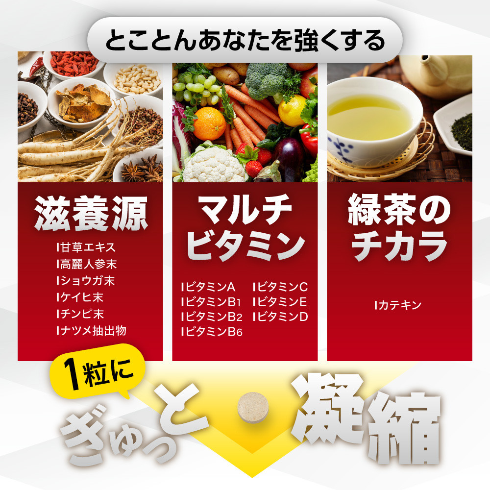 BIOVITAL（ビオバイタル） 免疫ケア サプリメント シールド乳酸菌 酢酸菌GK1 機能性表示食品 6袋（6ヶ月分）