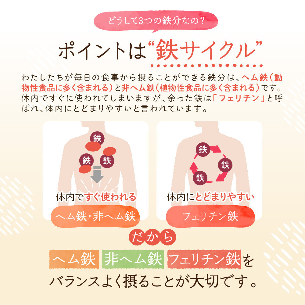 鉄分 サプリ ルミエル 鉄 10mg フェリチン鉄 ヘム鉄 葉酸 栄養機能食品 3袋（3ヶ月分）
