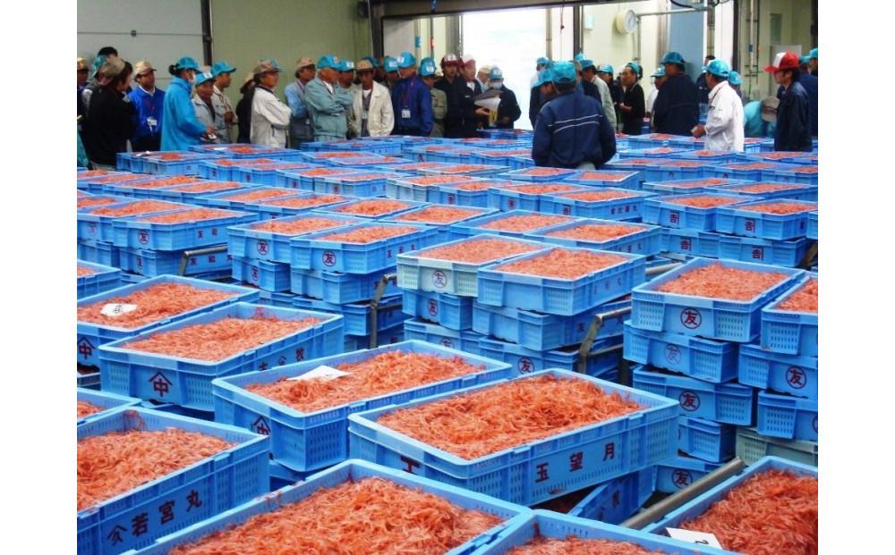 ＜原藤商店＞由比港産　生桜えび95g＆釜あげ桜えび80g◆