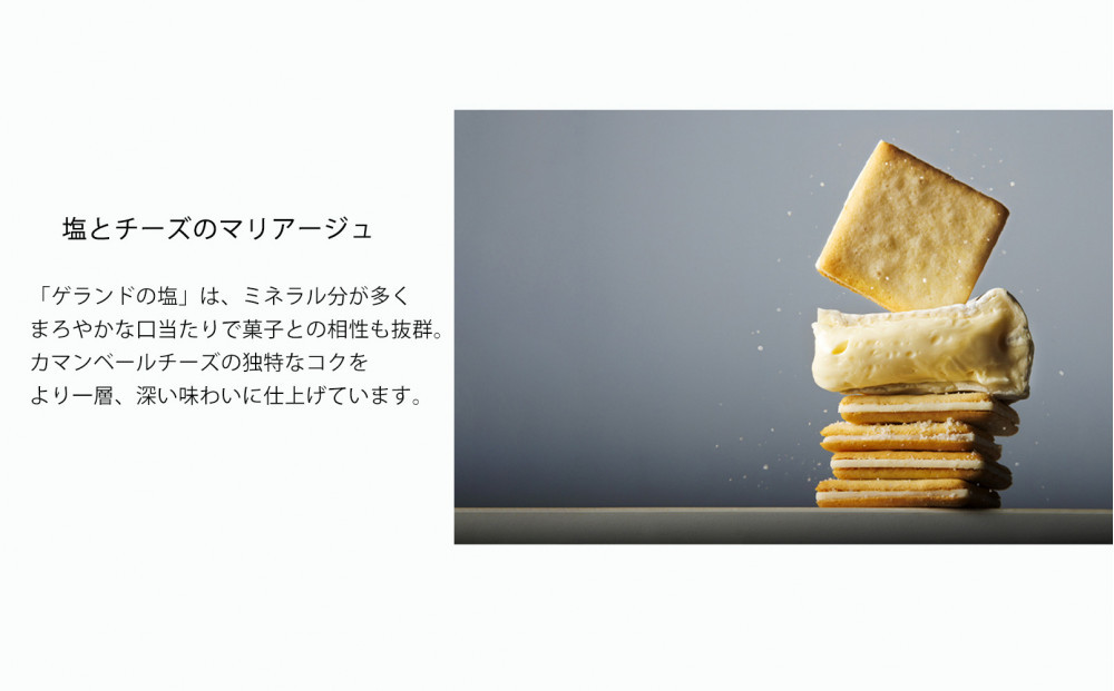 【東京ミルクチーズ工場】クッキー2種 詰合せ18枚入1箱