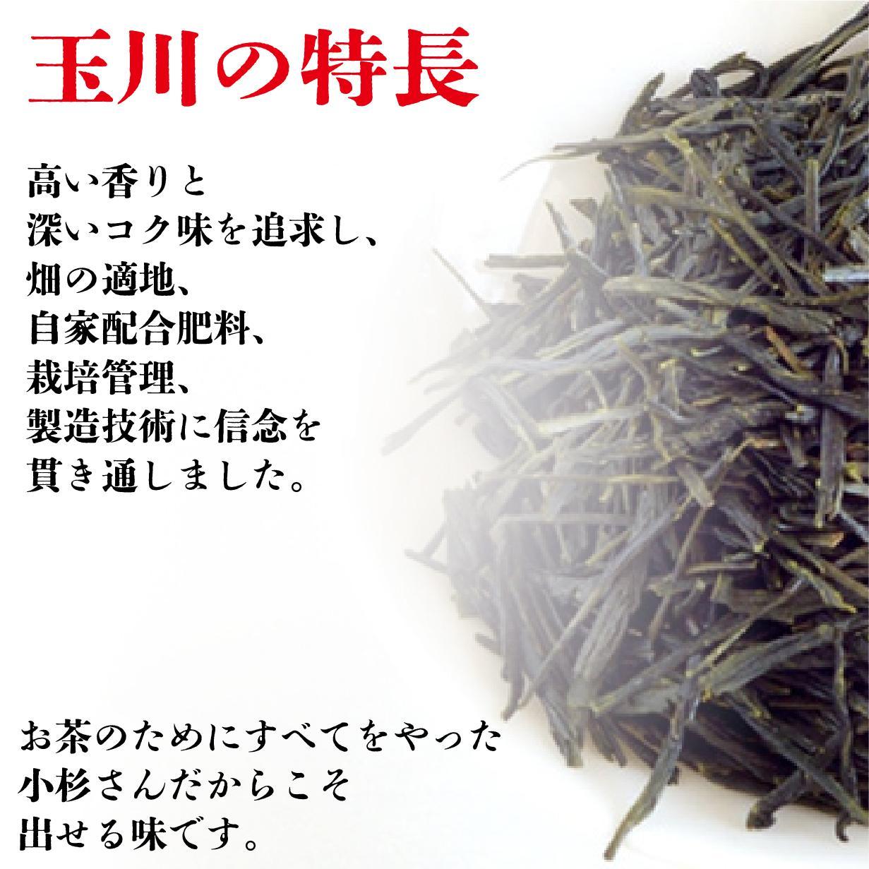 【静岡茶】 玉川100g・大川大間100gセット□