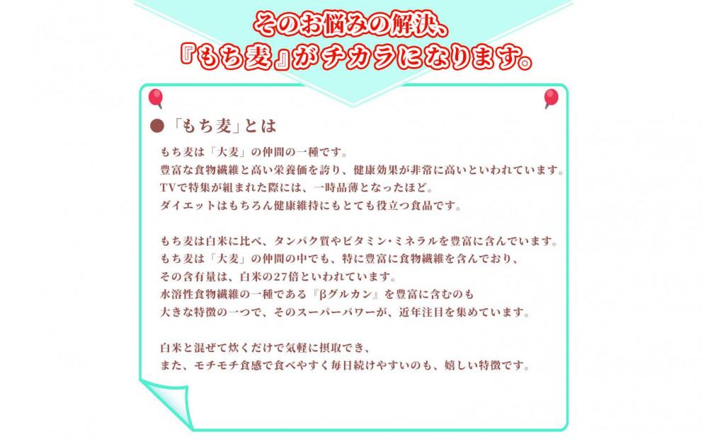 【3ヶ月定期便】もち麦 (400g×2袋)【合計2400g 全6袋】